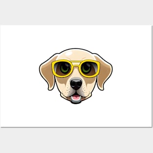 Golden Retriever Wearing Yellow Sunglasses Labrador Puppy Posters and Art